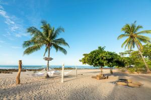 圣塔特蕾莎海滩Hotel Nantipa - A Tico Beach Experience的两棵棕榈树和吊床上的海滩