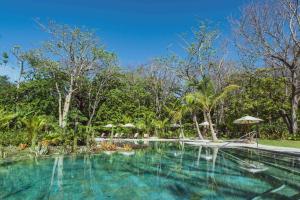 圣塔特蕾莎海滩Hotel Nantipa - A Tico Beach Experience的度假村的游泳池,有遮阳伞和树木