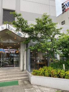 泉佐野新裕酒店的商店前有树的建筑物