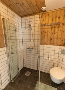贝特斯托尔Bygdin Høyfjellshotell的带淋浴和卫生间的浴室
