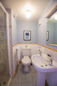 WormitThe Old Boathouse的浴室配有卫生间、盥洗盆和淋浴。
