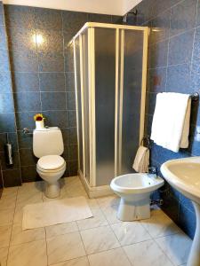 马达莱纳Riccio Hotel的带淋浴、卫生间和盥洗盆的浴室