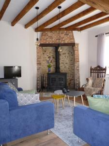 VieillevilleEen prachtige Gîte in Frankrijk Chez Gerard的客厅设有蓝色的沙发和壁炉