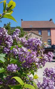 La Maison de Manon的一座建筑前的紫色花丛