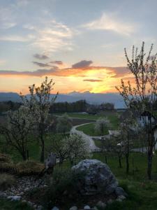 Spodnji OtokApartma Romana的树田里河上的日落