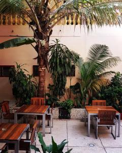 达喀尔Hôtel Saint-Louis Sun Dakar的一间设有木桌和棕榈树的餐厅