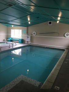 西塞德喜潮海滨酒店 的蓝色天花板客房的大型游泳池
