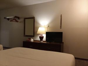 拉勒米拉勒米美洲最佳价值酒店的一间卧室配有一张床、一台电视和一面镜子