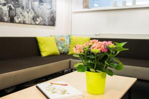 塔林学术旅舍的黄色花瓶,桌子上有粉红色的花