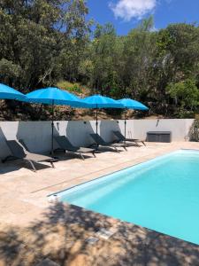 维琪奥港maison piscine chaufée的一个带两把蓝色遮阳伞和椅子的游泳池