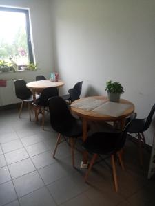 格但斯克Hostel Załogowa的一间设有两张桌子和椅子的房间和盆栽植物
