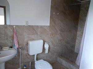 索瓦塔Casa Anda - Adult Only的浴室配有卫生间、盥洗盆和淋浴。