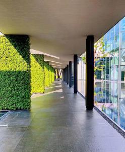 深圳深圳大梅沙京基洲际度假酒店 的绿色墙壁的建筑走廊