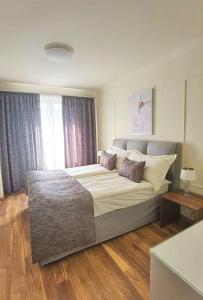 韦林格勒水族万岁温泉酒店 的一间卧室设有一张大床和一个窗户。