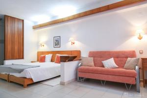 卡纳斯·德·塞尤里Pantanha Studio by Trip2Portugal的一间卧室配有一张床和一张沙发