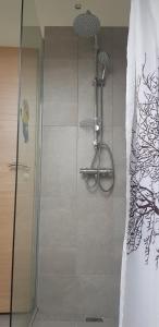 霍芬阿伯特科宾馆的浴室里设有玻璃门淋浴