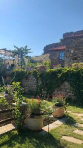 格克切达镇EFLİN BUTİK OTEL的种有盆栽植物和石墙的花园