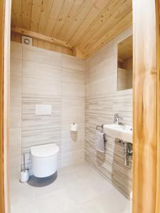 拉多夫吉卡Log House Natura的一间带卫生间和水槽的浴室