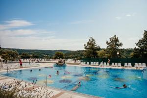 伊佐拉丽城度假酒店的一群人在游泳池游泳