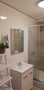 科尔丘拉Apartments Grbin的浴室配有盥洗盆和带镜子的淋浴