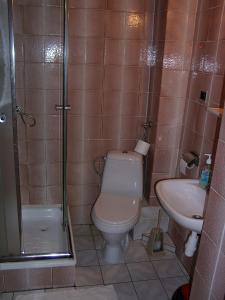 奥莱茨科斯布里克农家乐的浴室配有卫生间、淋浴和盥洗盆。