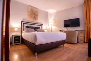 萨拉曼卡萨拉曼卡胡阿酒店的一间卧室配有一张大床和电视