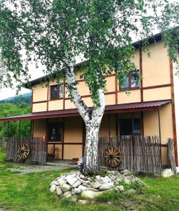 斯科列Guest House Pisnya Karpat的前面有一棵树的房子