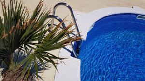 霍斯皮塔勒·德尔英福Beach Resort La Margarita的蓝色的游泳池,旁边是植物