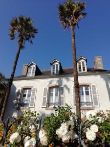 普洛默迪耶尔恩Maison Papillons的一座棕榈树掩映的白色房子