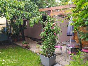 捷克布杰约维采花园公寓的一个带桌子和盆栽的花园