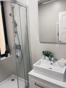 萨拉曼卡Apartamentos Pozo Amarillo的浴室配有白色水槽和淋浴。