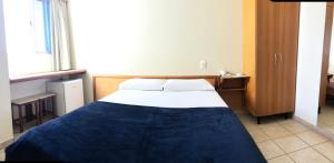 戈亚尼亚Hotel Serra das Águas的一间卧室配有一张床、一张书桌和一个窗户。