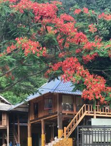 枚州县Nha Tan - Mai Chau Homestay and Tours的树上种着红色花的木房子