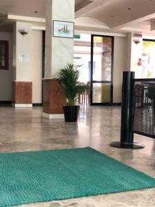 里米尼阿泰德酒店的大型大堂的地板上铺有绿色地毯