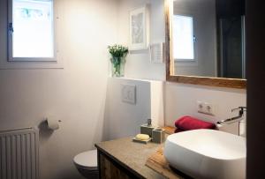卡普伦可林吉尔度假屋的一间带水槽、卫生间和镜子的浴室