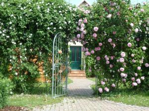 GarzFerien auf Rügen Familie Geist的花园中一个有粉红色玫瑰的大门