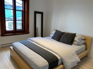 莱维斯Appartements Gite Kezako的一间卧室配有一张带镜子的大床
