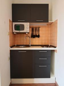 比奥格勒·纳·莫鲁Apartment Plavia Biograd的厨房配有水槽和微波炉
