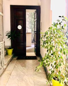 那不勒斯N'Art Suites - Napoli的走廊上木门,有植物