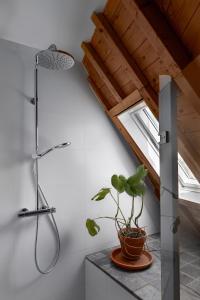 米德尔堡Koffie&kussens的带淋浴的浴室和台面上的植物