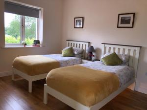 恩尼斯Tir Na Spideoga的一间卧室设有两张床和窗户。
