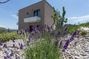 维尼斯切View Villas Collection的前面有紫色花的房屋