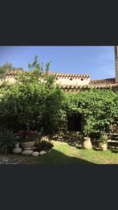 穆拉沃拉Il Portico Guesthouse的一座花园,在一座建筑前种有树木和植物
