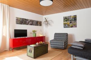 HasselbachFerienwohnung Stein mit Sauna的客厅配有红色橱柜和电视