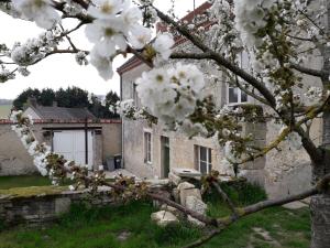 RévillonLE RELAIS的屋前有白色花的树