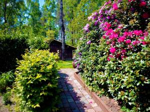 't HardeDe Drie Beuken的一座花园,花园内种有粉红色的花卉,一条砖路