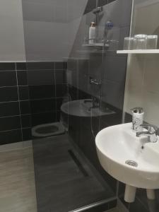 拉斯托瓦卡纳达家庭酒店的一间带水槽和卫生间的浴室