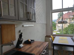 库多瓦-兹德鲁伊Apartament Zdrojowa 45的厨房配有木桌和窗户。