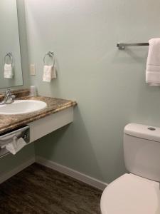 奇斯顿Rockerville Lodge & Cabins的一间带卫生间和水槽的浴室