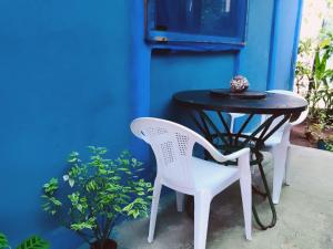 托尔图格罗Green Macaw Hostel的一张桌子和椅子,坐在蓝色的墙上